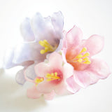 Tagliapasta petunia kit per realizzare fiori in pasta di zucchero Decora